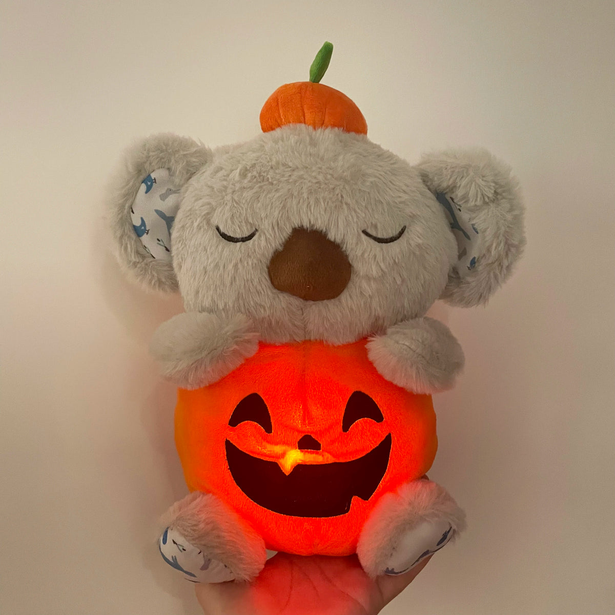 Baby Bear Soothing Plush Toy